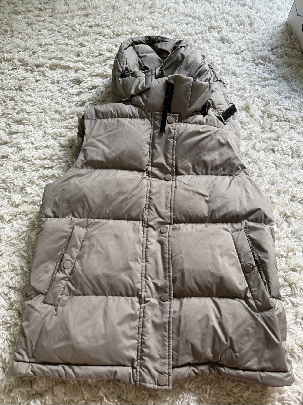 Quince Vest